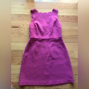 Loft magenta dress scalloped edge 6P